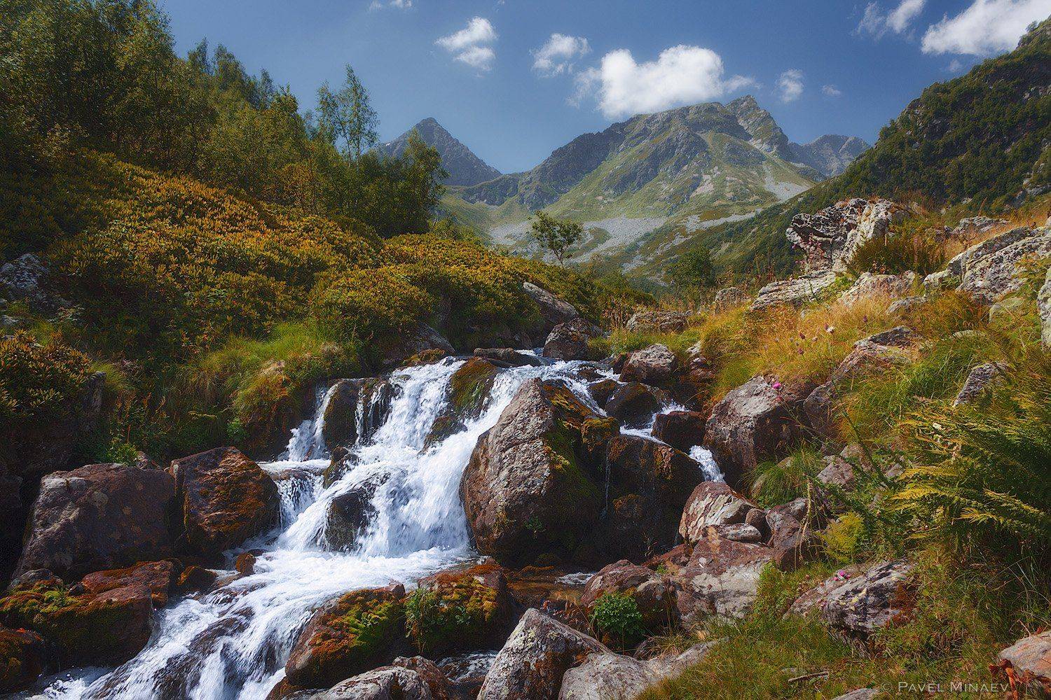 , Минаев Павел