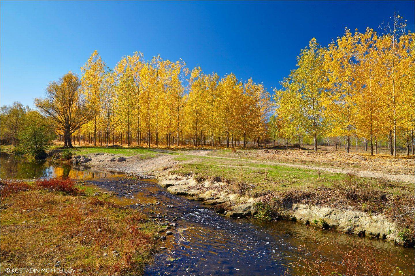 , Kostadin Momchilov