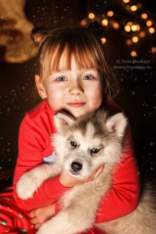 Перед рождеством фото превью