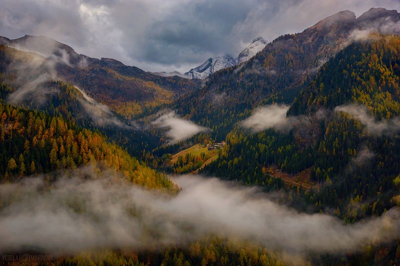 Лес покрыт одеялом фото превью