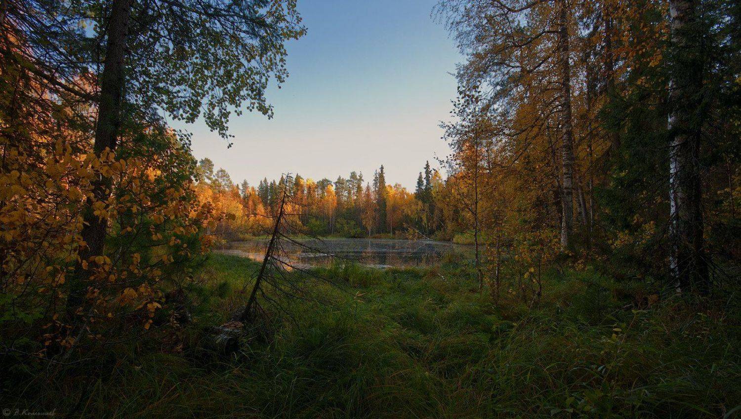 , Владимир Комышев