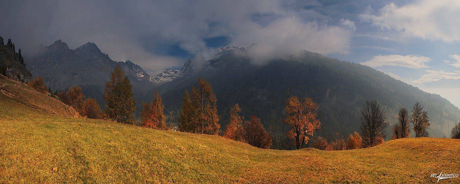 swiss, Матвеев Николай