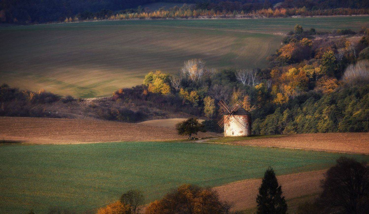 , Владимир K.