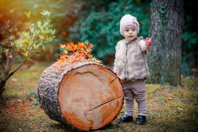 Осень  фото превью