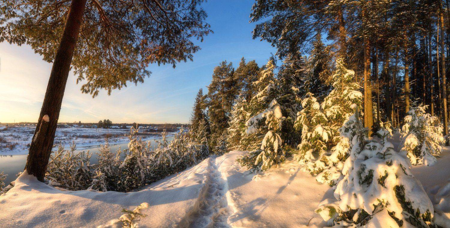 , Устюжанин Михаил