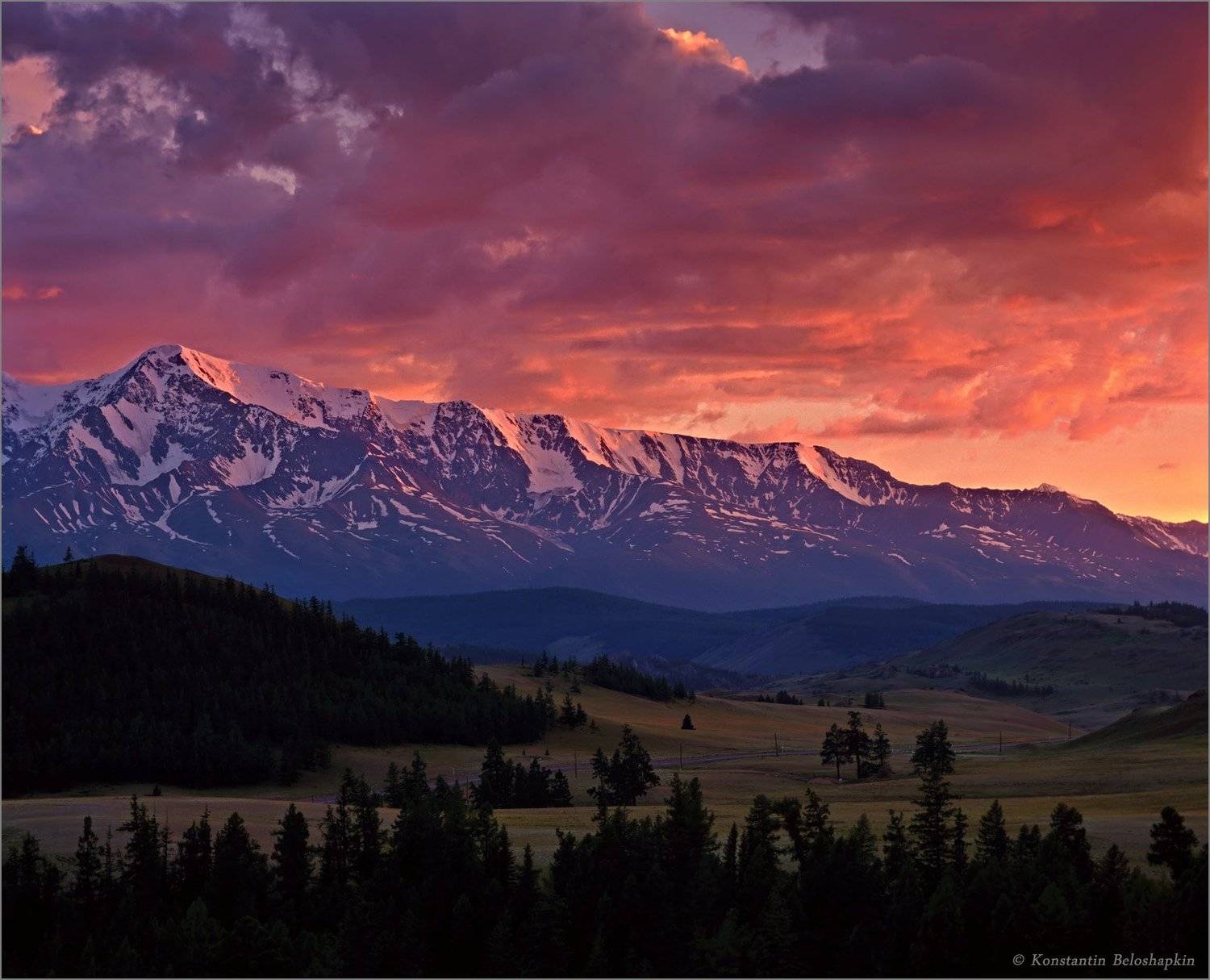 алтай, курай, северочуйский, mamiya rz67, Константин Белошапкин