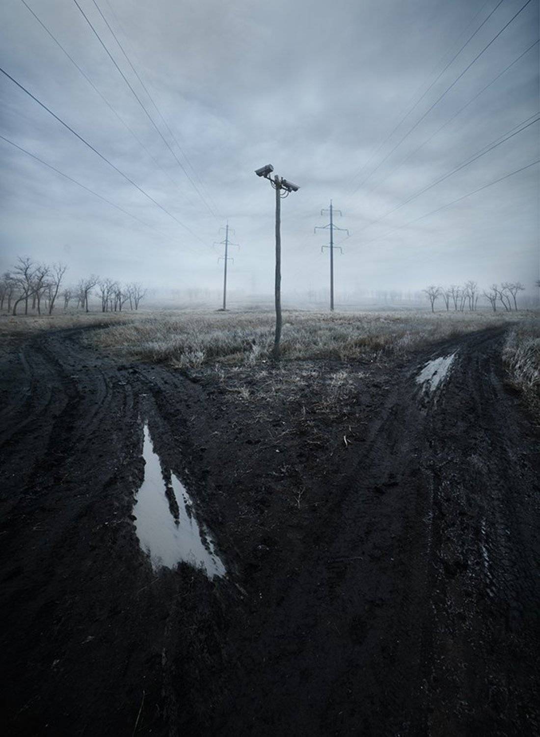 , Дeнис Бoдрoв