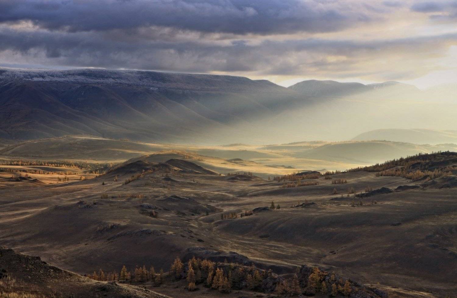 , Галина Хвостенко