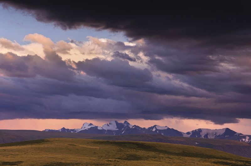 укок лиловый вечер фото превью