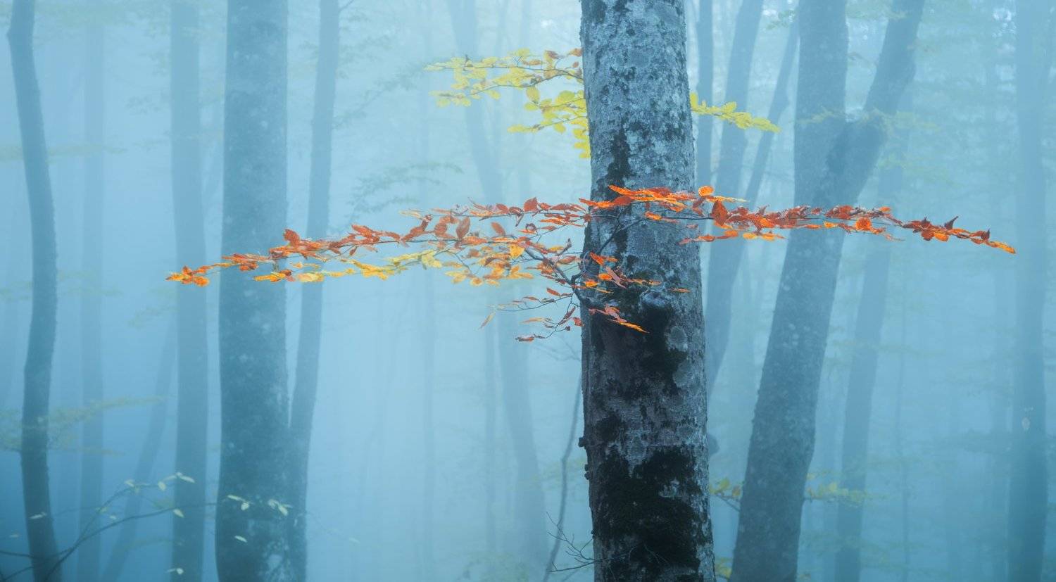 крым, ай-петри, туман, осень, Алексей Сулоев