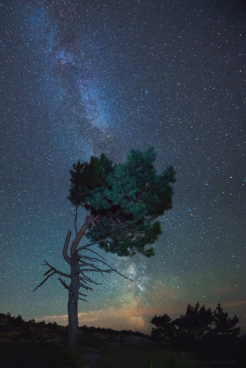 , Юрий Коваленко