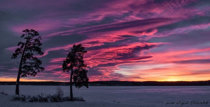 Пожар в джунглях Урала фото превью