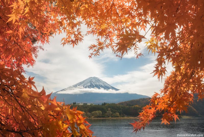 I love Japan