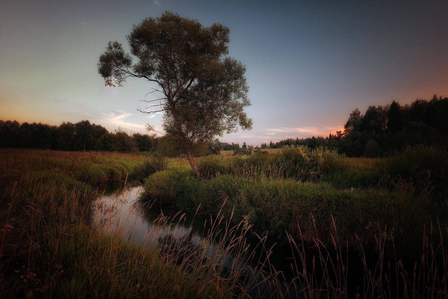 , Алексей Никонов