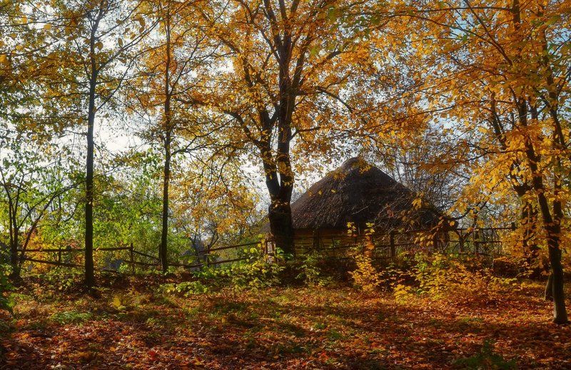 Художница-осень фото превью