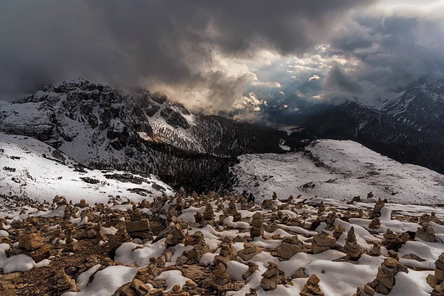 , Весела Маринова