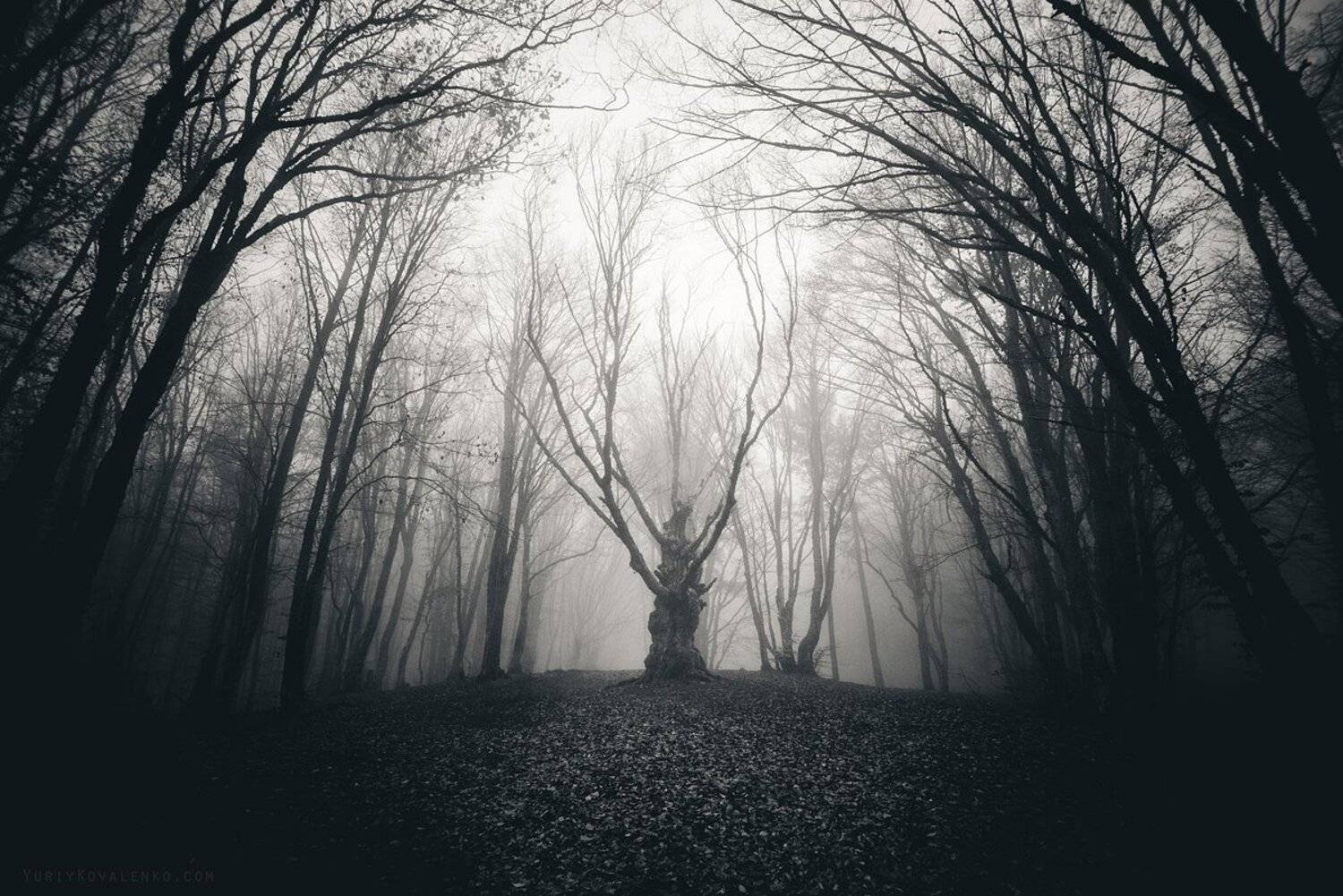 , Юрий Коваленко