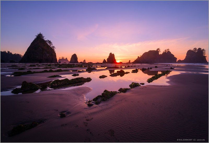 США, НП Олимпия. Побережье Тихого Океана. фото превью