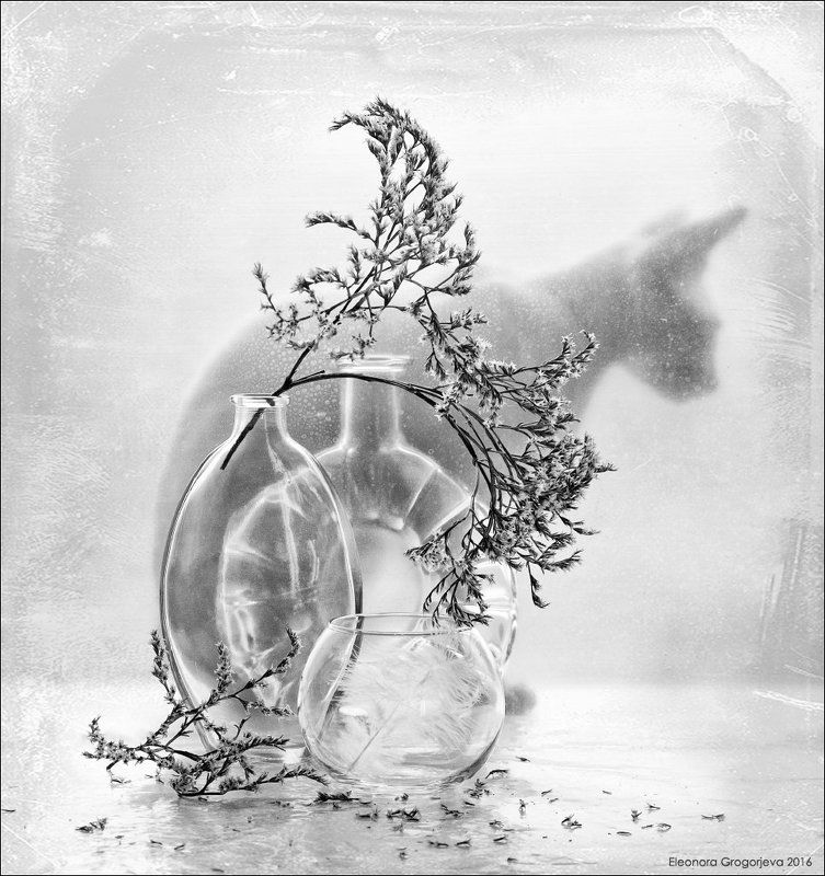 Завитки фото превью