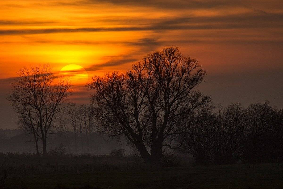 , Pawel Plucinski