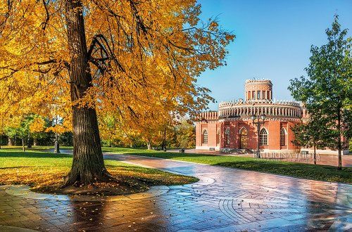 Желтое платье осени