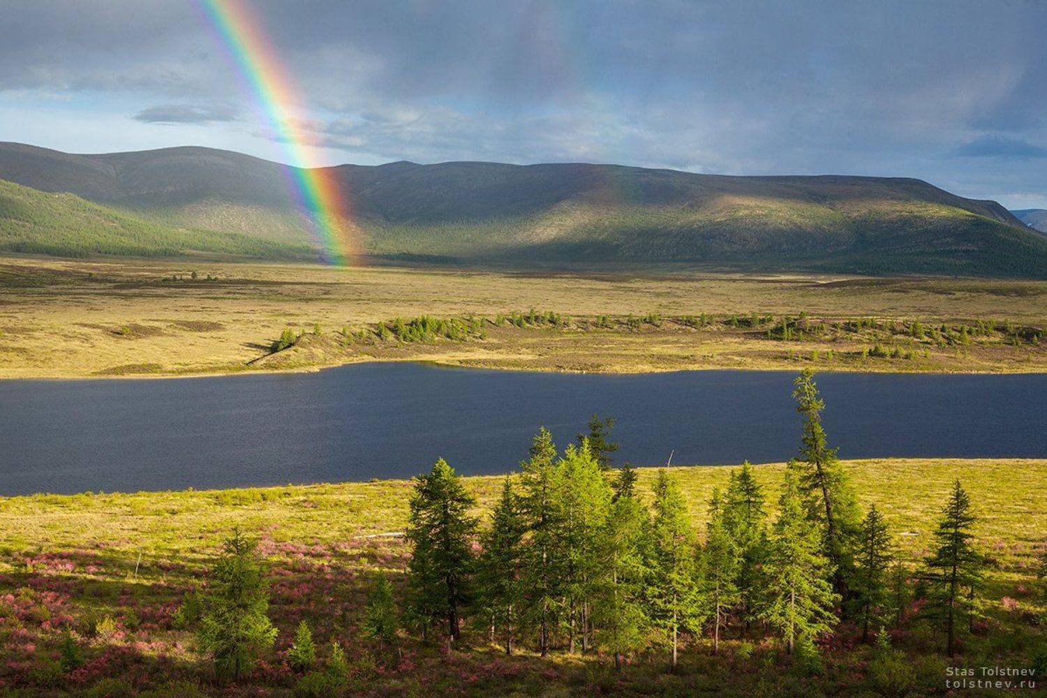 , Станислав Толстнев