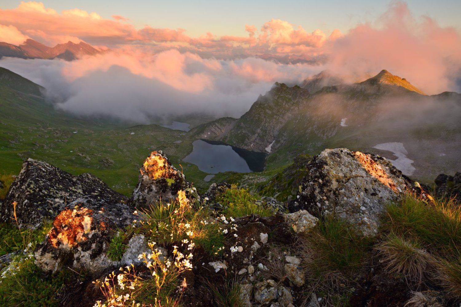 , Максим Евдокимов ( www.wildphotorus.ru )