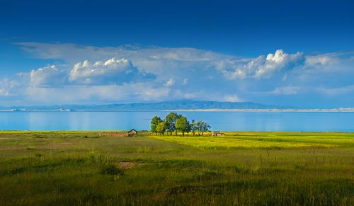 Qinnghai lake 青海湖