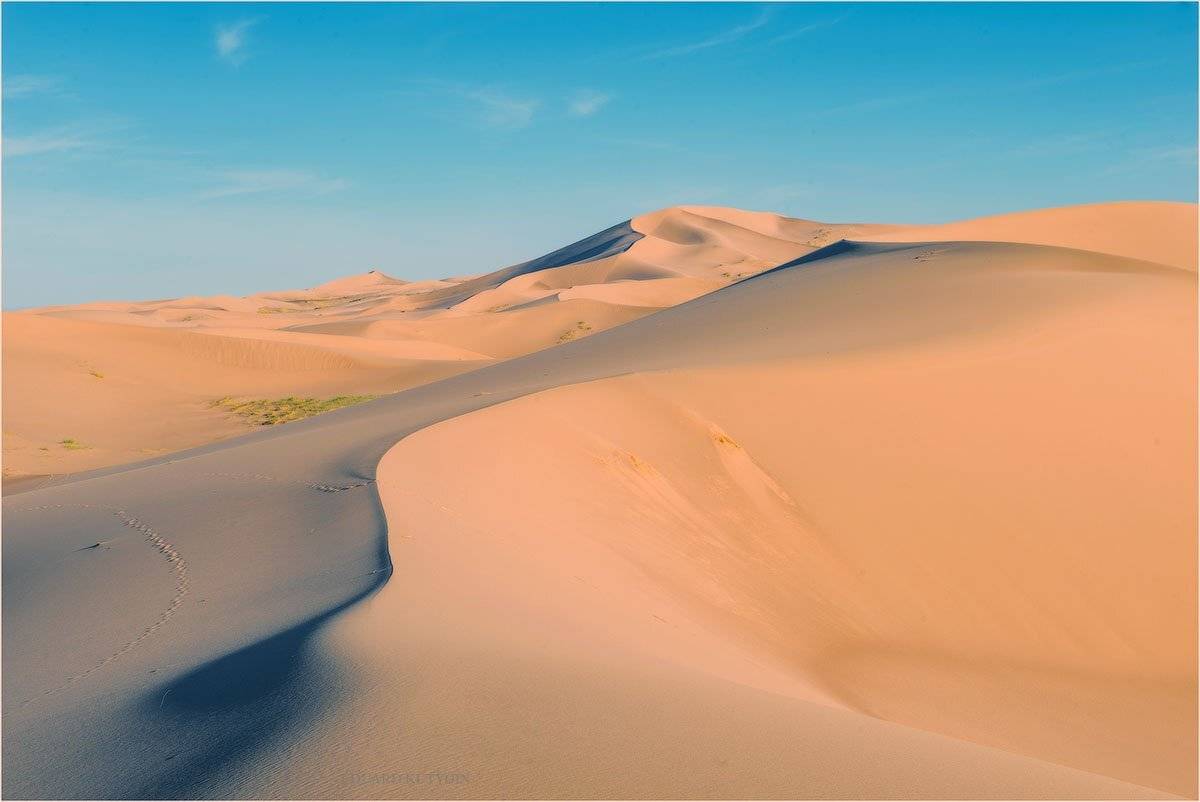 кутыгин, монголия, пески, барханы, хонгорын, элс, хонгорын элс, весна, май в монголии,, Кутыгин Эдуард