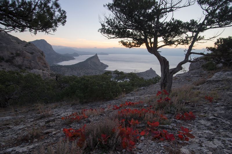 крым, море, горы, свет, закат, рассвет, природа, осень *** фото превью