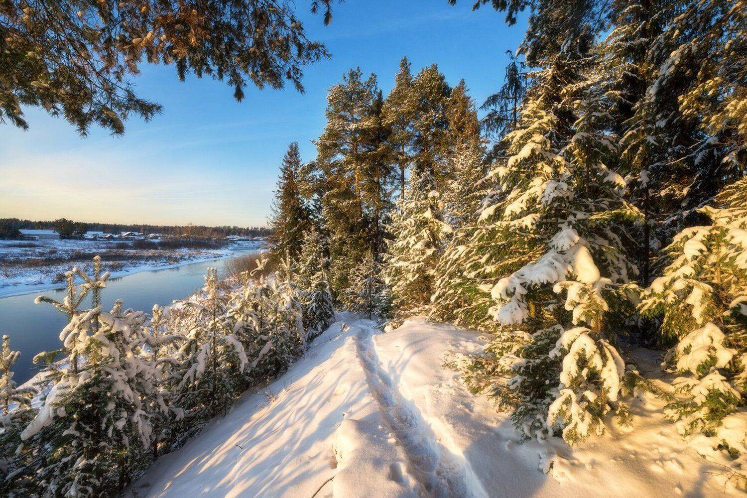 , Устюжанин Михаил