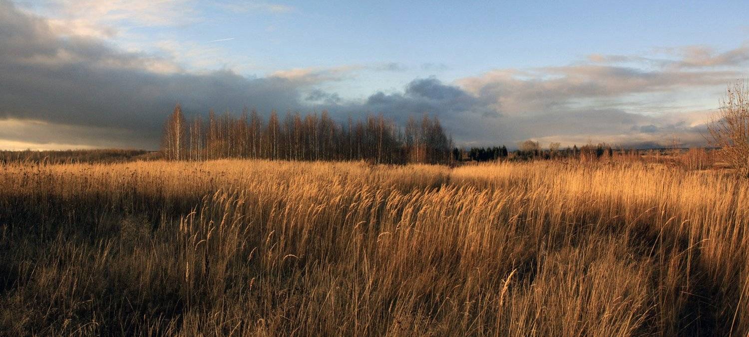 осень, Свистков Александр