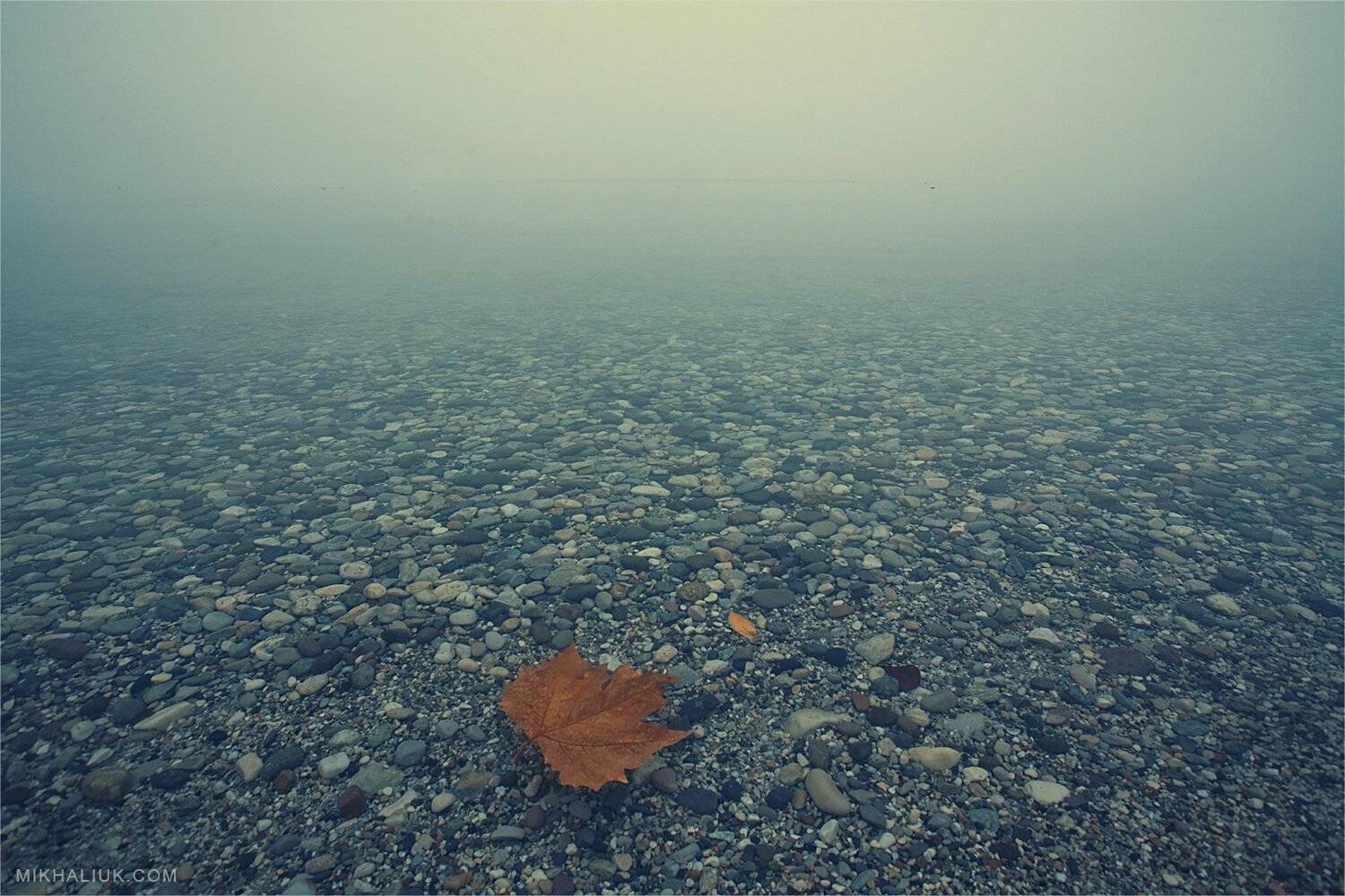 портретик, для, листика, Михалюк Сергей.