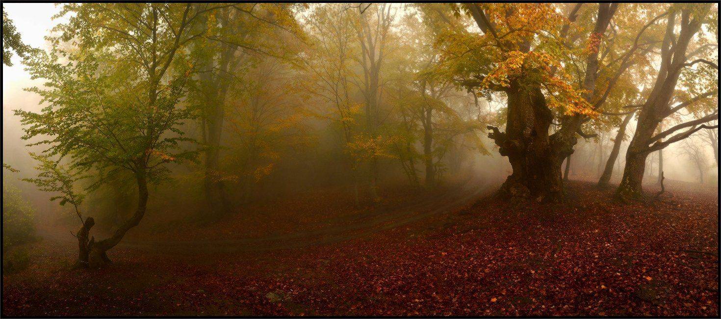 , Владимир Метцгер