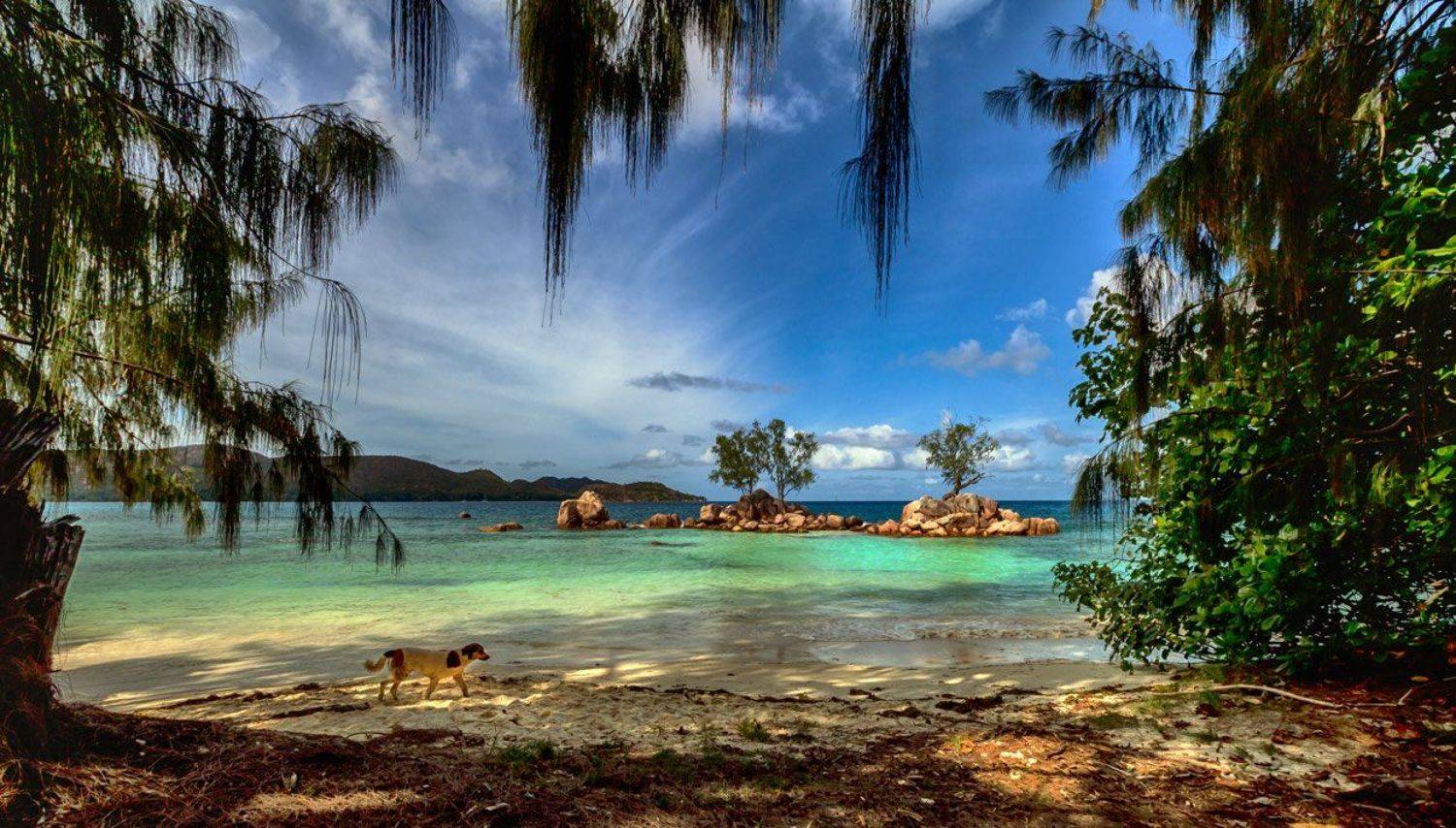 , Людмила Прокофьева