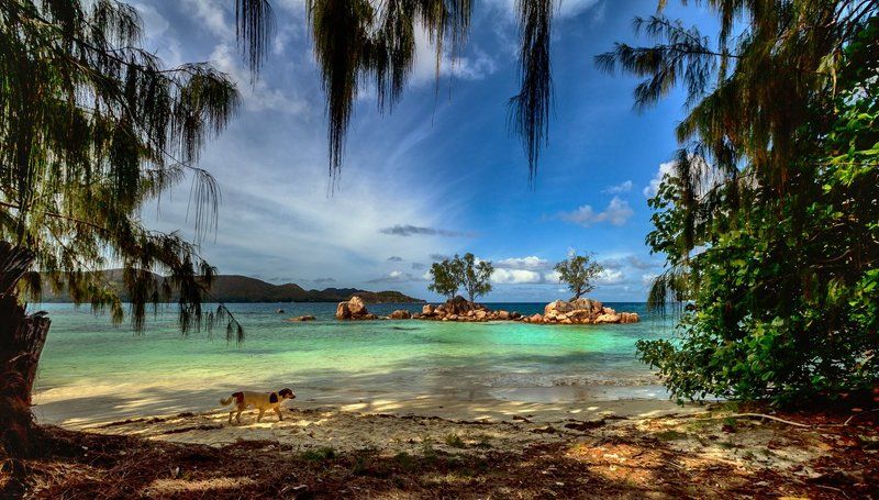 На островах, затерянных в океане фото превью