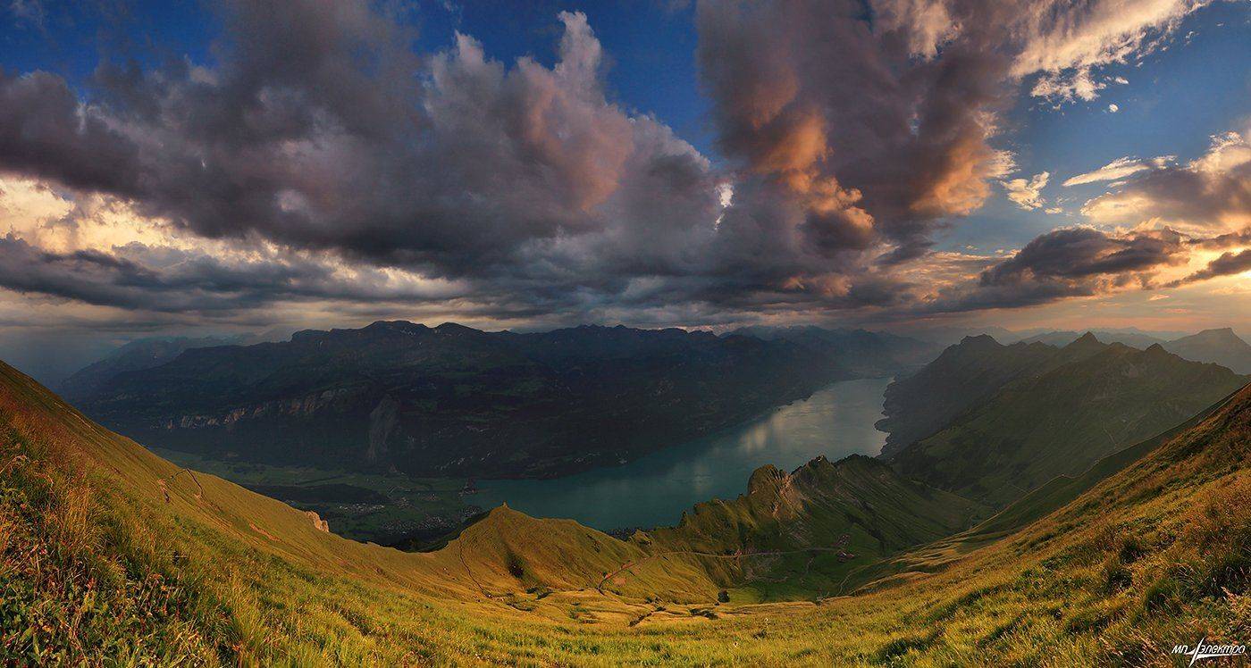 swiss, Матвеев Николай