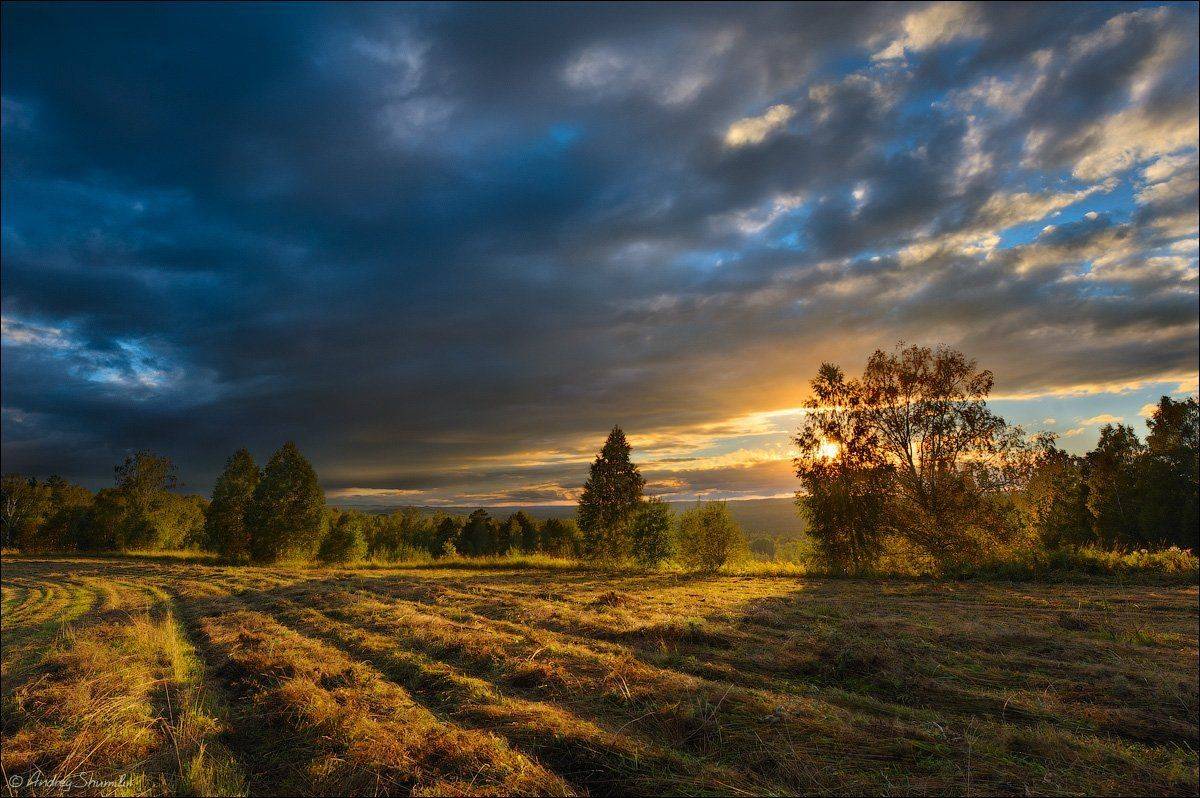 , Андрей Шумилин