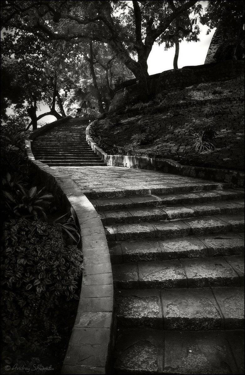 , Андрей Шумилин