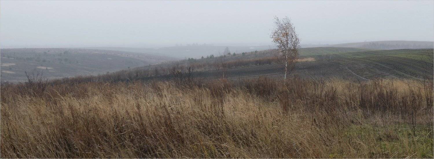 , Николай Шахманцир