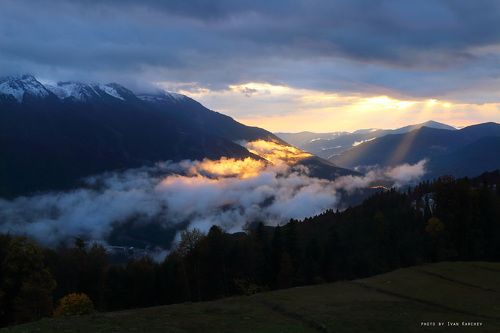 mountain mist