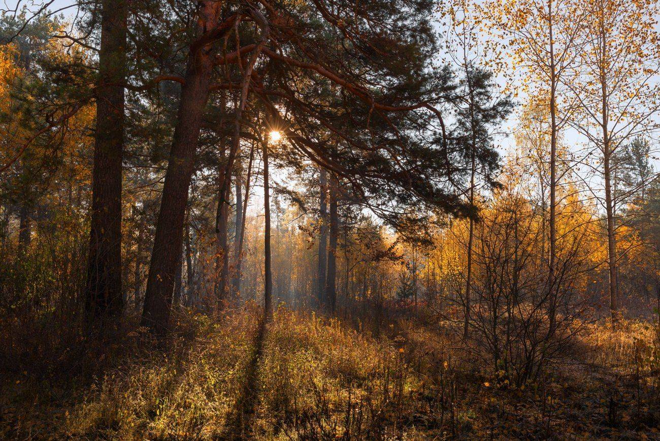 , Галанзовская Оксана