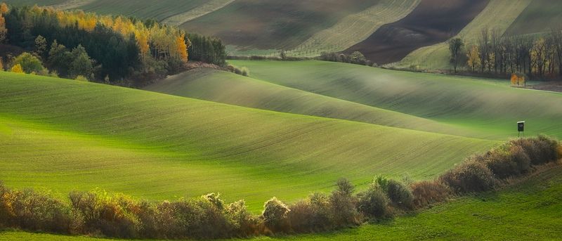 Twist фото превью