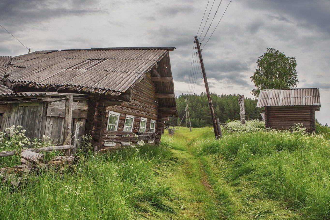 кенозерье, Владимир Липецких