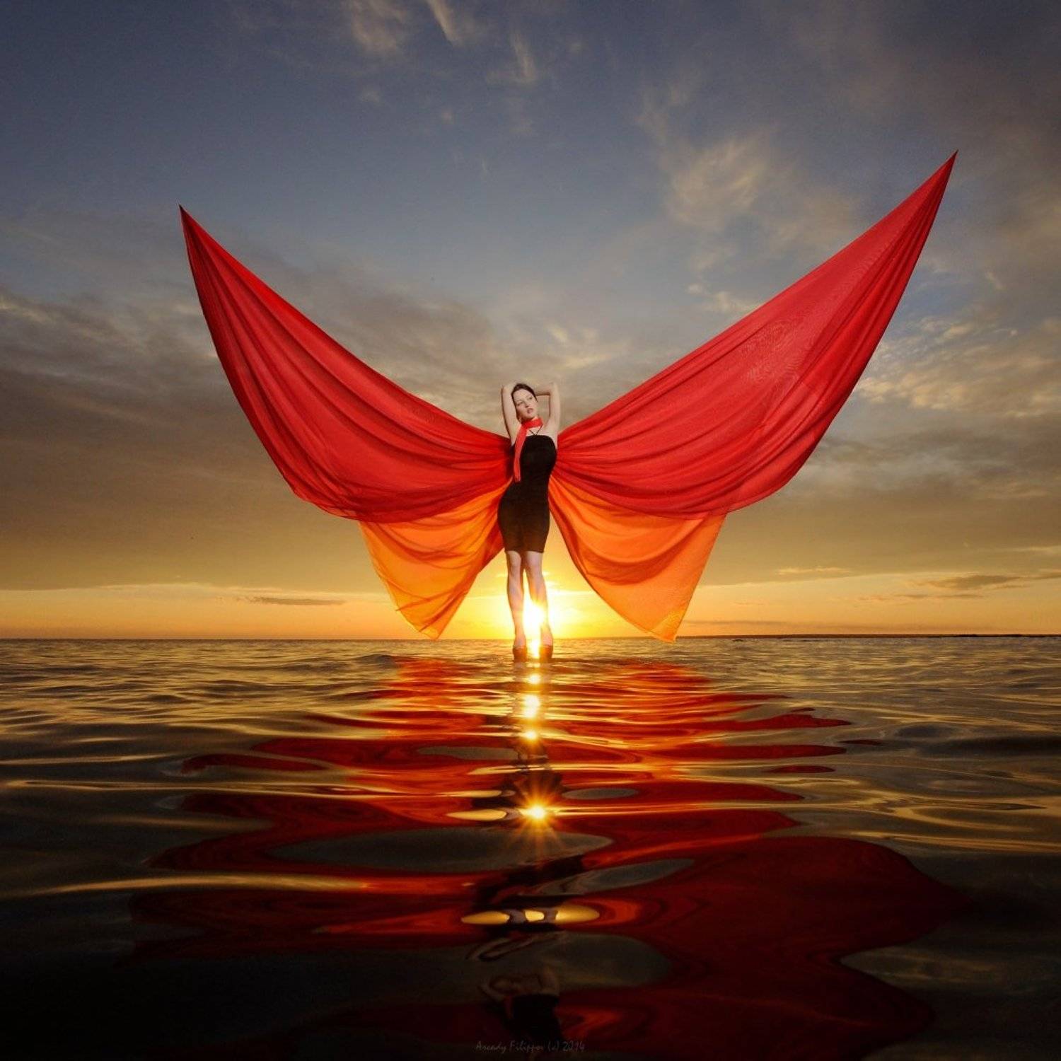 , Аркадий Филиппов