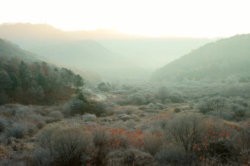 Frosty mountain valley