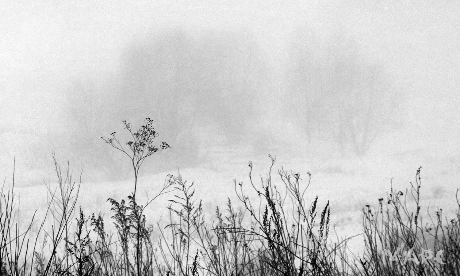 пейзаж ноябрь туман, Шангареев Марс