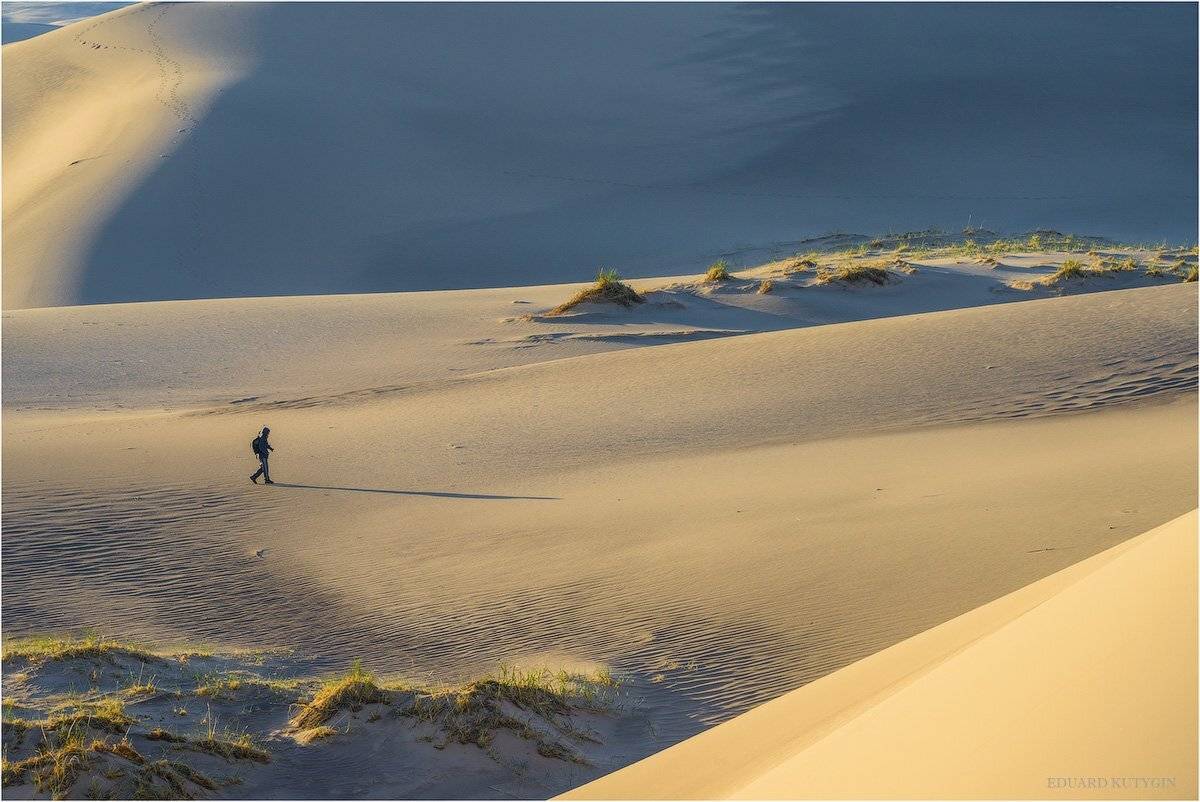 кутыгин, монголия, пески, барханы, хонгорын, элс, хонгорын элс, весна, май в монголии, марсианин, Кутыгин Эдуард