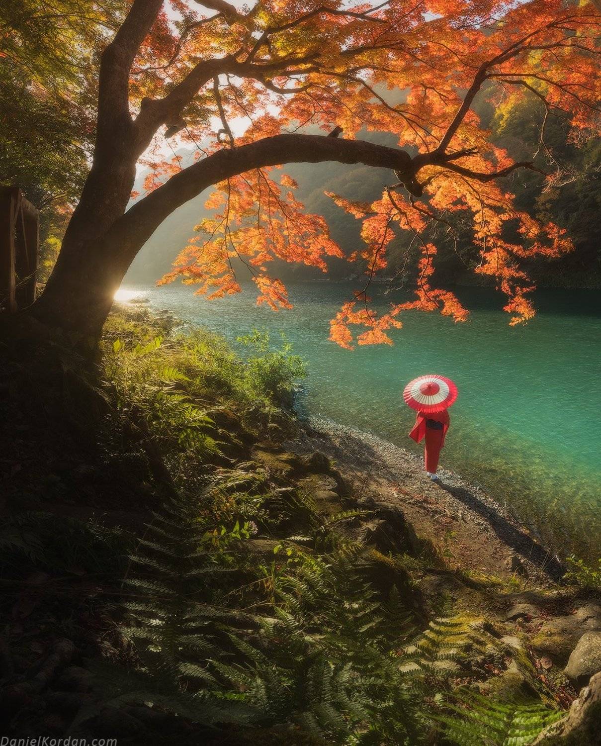 Япония, Даниил Коржонов