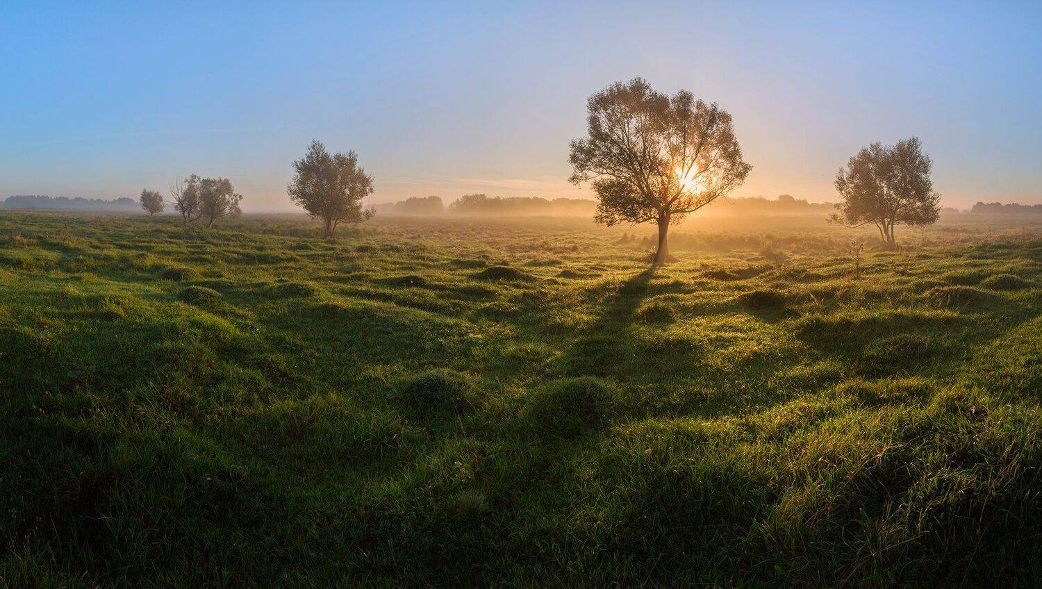, Александр Бредихин